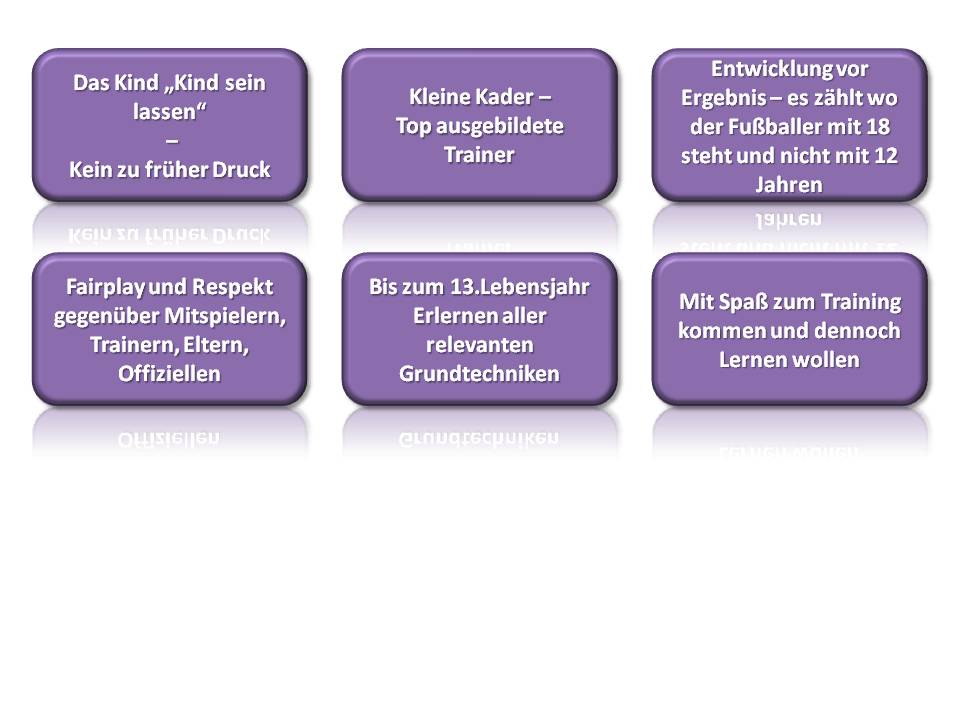 Schaubild Ausbildungsleitlinien